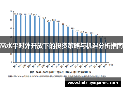 高水平对外开放下的投资策略与机遇分析指南